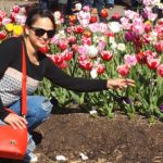 floriade2016-spring-celebration-at-canberradsc09078