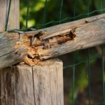 wood-1603144__340