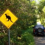 australia-790784__340