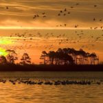 sunset-599826__340