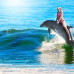 woman-dolphin swimming