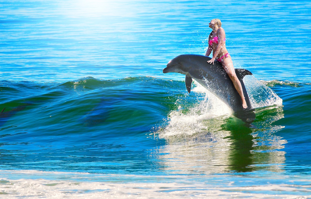 Learning How to Swim in Australia - NepaliPage