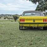 mustang-1184505__340