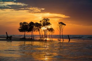 Top Ten Reasons to move to Australia - NepaliPage