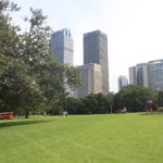 Royal Botanic Garden, SydneyIMG_9262
