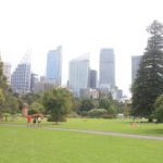 Royal Botanic Garden, SydneyIMG_9296