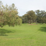 Royal Botanic Garden, SydneyIMG_9337
