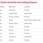 South Australia Harvesting Season