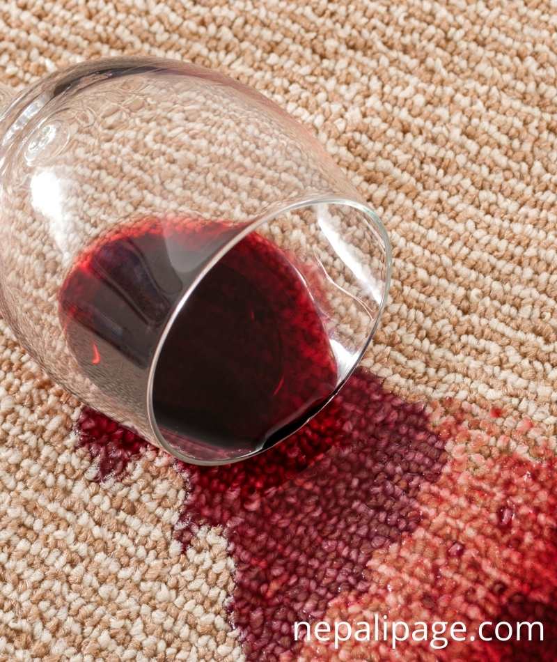 What You Should Look For When Choosing a Carpet Cleaner in Australia - NepaliPage