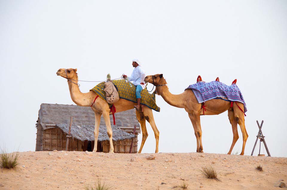 Most popular areas to rent in Dubai for living - NepaliPage