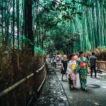 japan-public-holiday-nepalese-2022